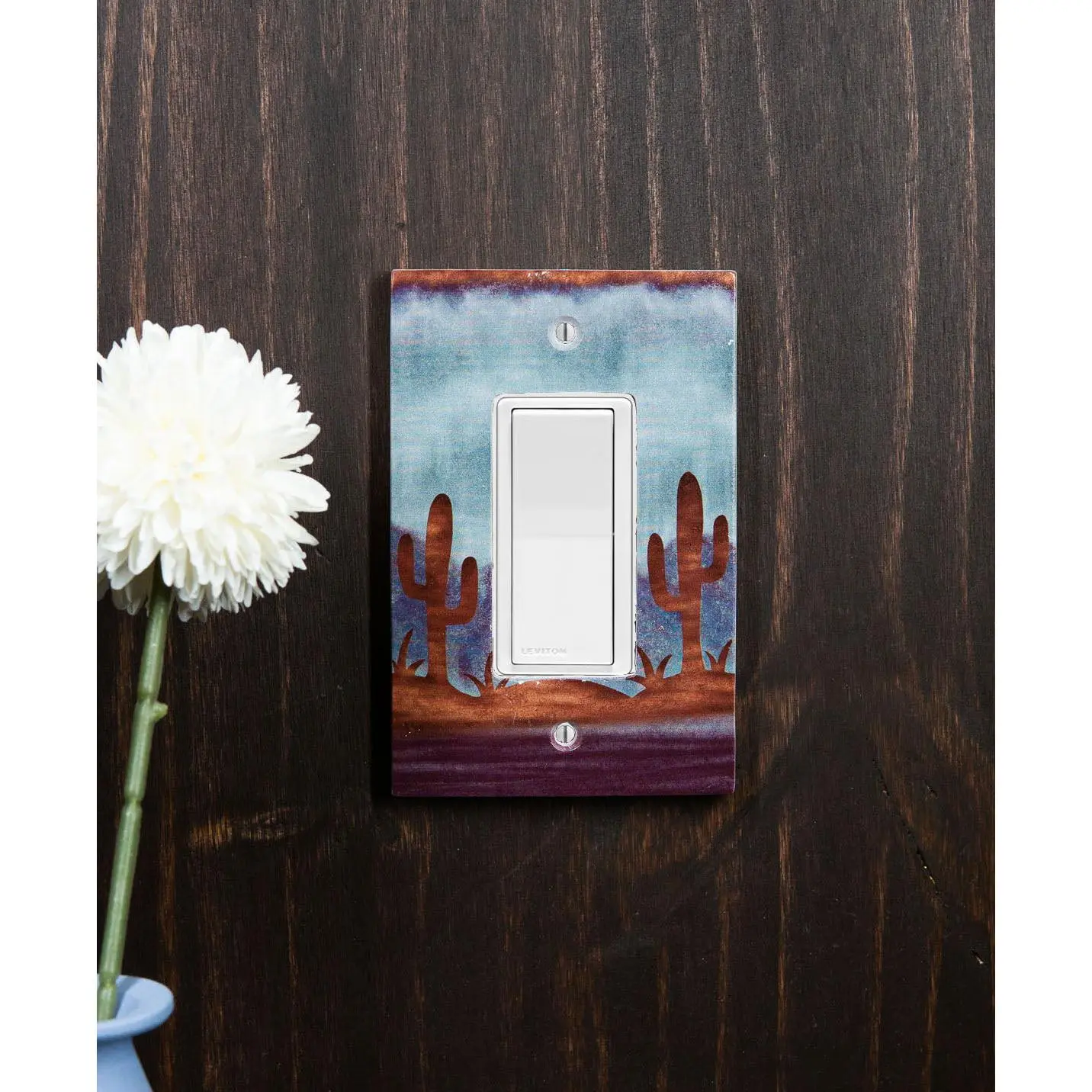 Hand Painted Southwestern Desert Cactus Light Switch Wall Plate Cover - Pack of 2, Single Gang Rocker, 3.25" Wide, Rustic Nature's Colors Home Decor
