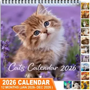 2026 Cat Theme Wall Calendar Planner, 12 Months Colorful Illustrations, 7.9in X 7.9in Perfect Size, Cute Fun Cat Art Decor Gift