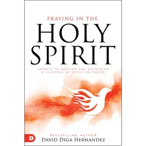 USED-Praying in the Holy Spirit: Secrets to Igniting and Sustaining a Lifestyle of Effective Prayer by Hernandez, David Diga (Paperback)