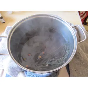 Herbal Respiratory Steam Treatment