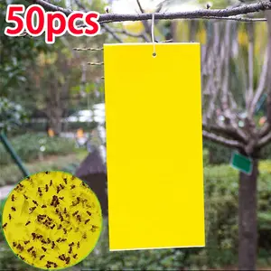 50 Pack Sticky Pest Traps, 20x10 Cm Glue Boards with Strips, Dual-Sided Insect Trap for Farm Garden Vegetable Fruit Patio Indoor Outdoor Use, Fruit Fly Trap