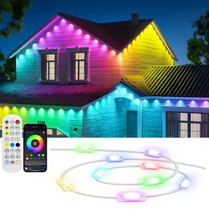 15M/50FT Permanent Outdoor RGB String Lights, IP67 Waterproof Eaves Lights, Smart APP & Remote Control, Perfect for Christmas, Festivals, Garden Decor, Led Outdoor Waterproof