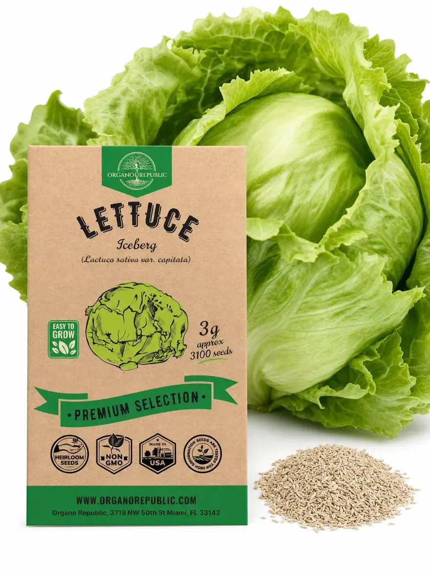 Iceberg Lettuce Seeds – Non-GMO Heirloom