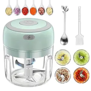 Electric Garlic Chopper 250ML Mini Portable Vegetable Chopper, Wireless Food Processor Garlic Mincer for Onion Ginger Chili HAOYUNMA