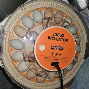 30 Egg Incubator with Automatic Turner, Digital Temperature and Humidity Display, and Built-in Egg Candler for Hatching Chickens, Quail, and Ducks
