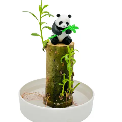 CZ GRAIN Lucky Money Willow Wood Desktop Plant Tree - 12x9x1in, 10-Day Growth, Office Desktop Ornament, Home Fengshui Ornaments, Panda Figure, Water Tray, Simple Light & Water Care, Unique Gifts, Business Ideal Decor