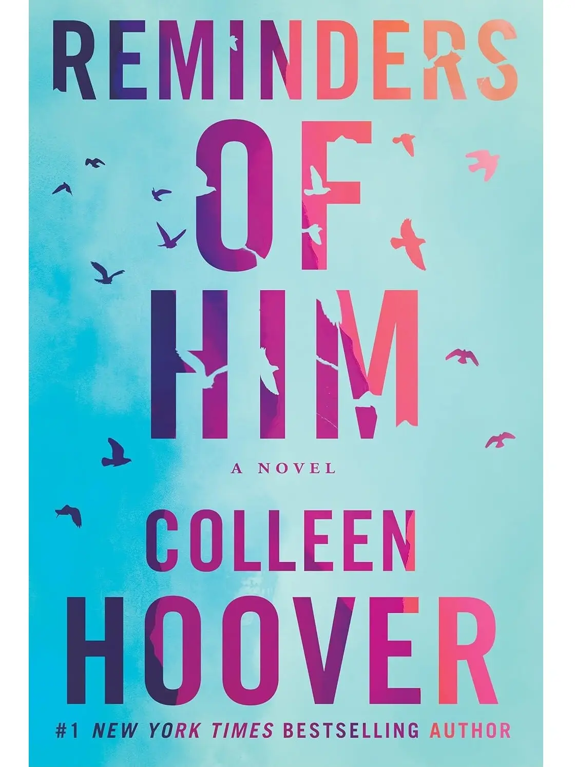 Reminders of Him: A Romantic Fiction Novel by Colleen Hoover, Includes Romance Books Recs