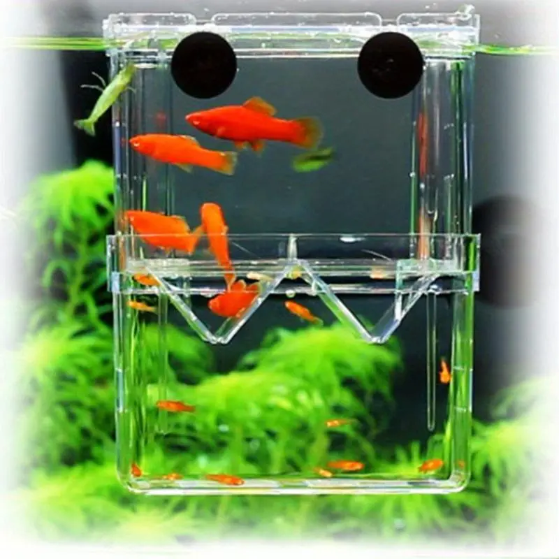 Double Layer Design Fish Hatching Incubator Box, Clear Plastic Fish Isolation Breeding Box, Fish Breeding Box, Fish Tank Accessories, Aquarium Supplies for Home & Pet Shop, Enclosure