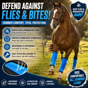 No More Fly Bites! These Horse Leg Boots Are a Summer Game-Changer