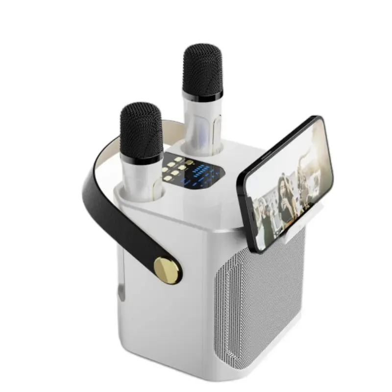 360 Surround Sound Blue Tooth Karaoke Speaker with 2 Mics Portable Wireless Karaoke System for Music Enthusiasts