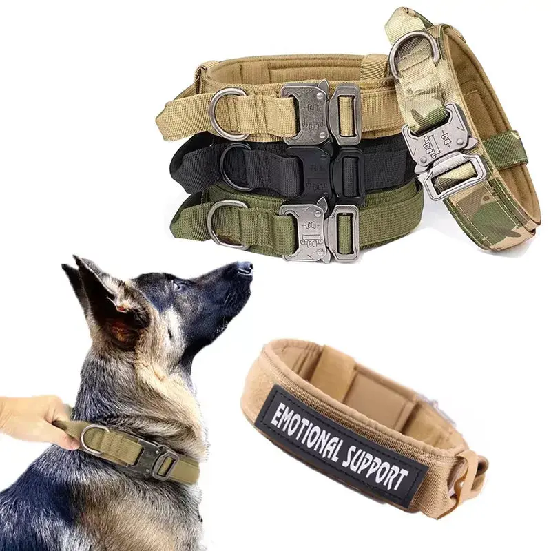 Military Grade Collar Summer Training
