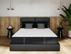 Hybrid-Firm Mielmoon & Elegance Mattress 10" Back LuXupport
