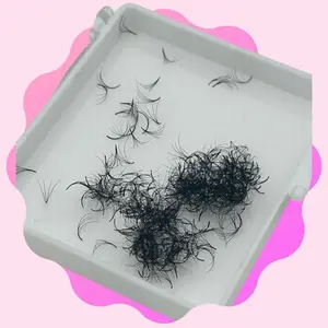 4D 0.07 Promade Fans (Box Of 500) Eyelash Extensions