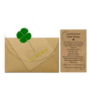 Laminated Real Four-Leaf Clover Bookmark – Irish Shamrock Lucky Charm Credit Card Size for Wallet Phone Case Amulet Purse Pocket Use – St. Patrick’s Day Gift with Thank You Card