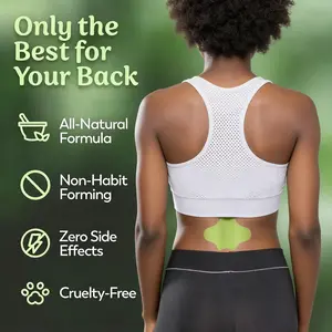 Lower Back Pain Relief & Relaxation Herbal Heat Patches, 30 Count Value Box, Soothing Warm Lumbar Support, Disposable Ice Body Care, Hypoallergenic, Perfect for Office Workers, Drivers, Athletes & Active Adults spine multi-use bone knee daily long-lasting