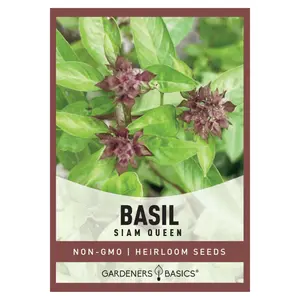 Siam Queen Basil Seeds