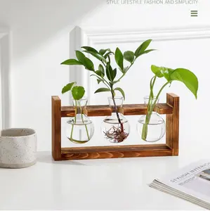 3-Piece Creative Wooden Frame Hydroponic Vase Set with Glass Bottle Containers, Green Ivy Plant for Home Living Room & Office Desk Decor