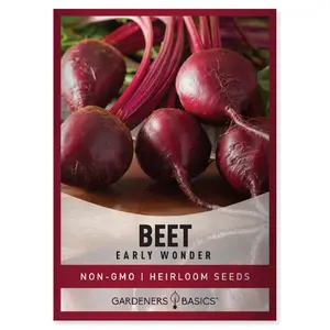 Early Wonder Beet Seeds For Planting in Home Garden Outdoors Spring Summer Fall and Winter