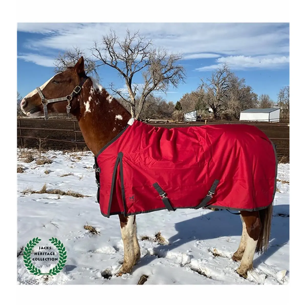 Jacks Atlas Turnout Blanket, Waterproof 600 Denier Polyester with Standard Neck and Contoured Rump, 300g Lining, 78 in., Adjustable, Breathable, Durable, Thermal, Fleece, Moisture-Proof, Horsewear & Bandaging, Water-Resistant