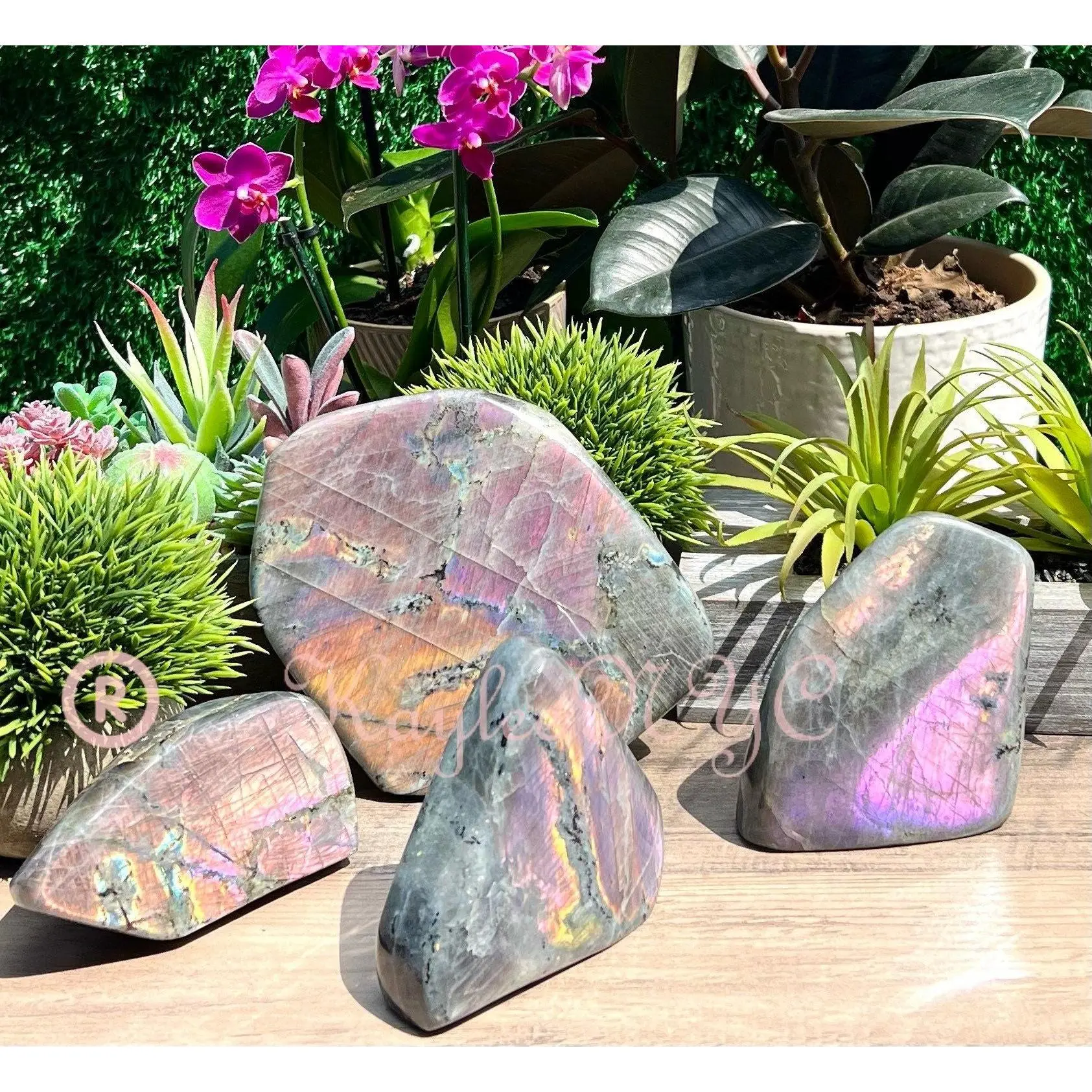Wholesale Lot 4 to 7 Pcs Natural Sunset Labradorite Free Form Crystal 7.8 lb - 8 lb