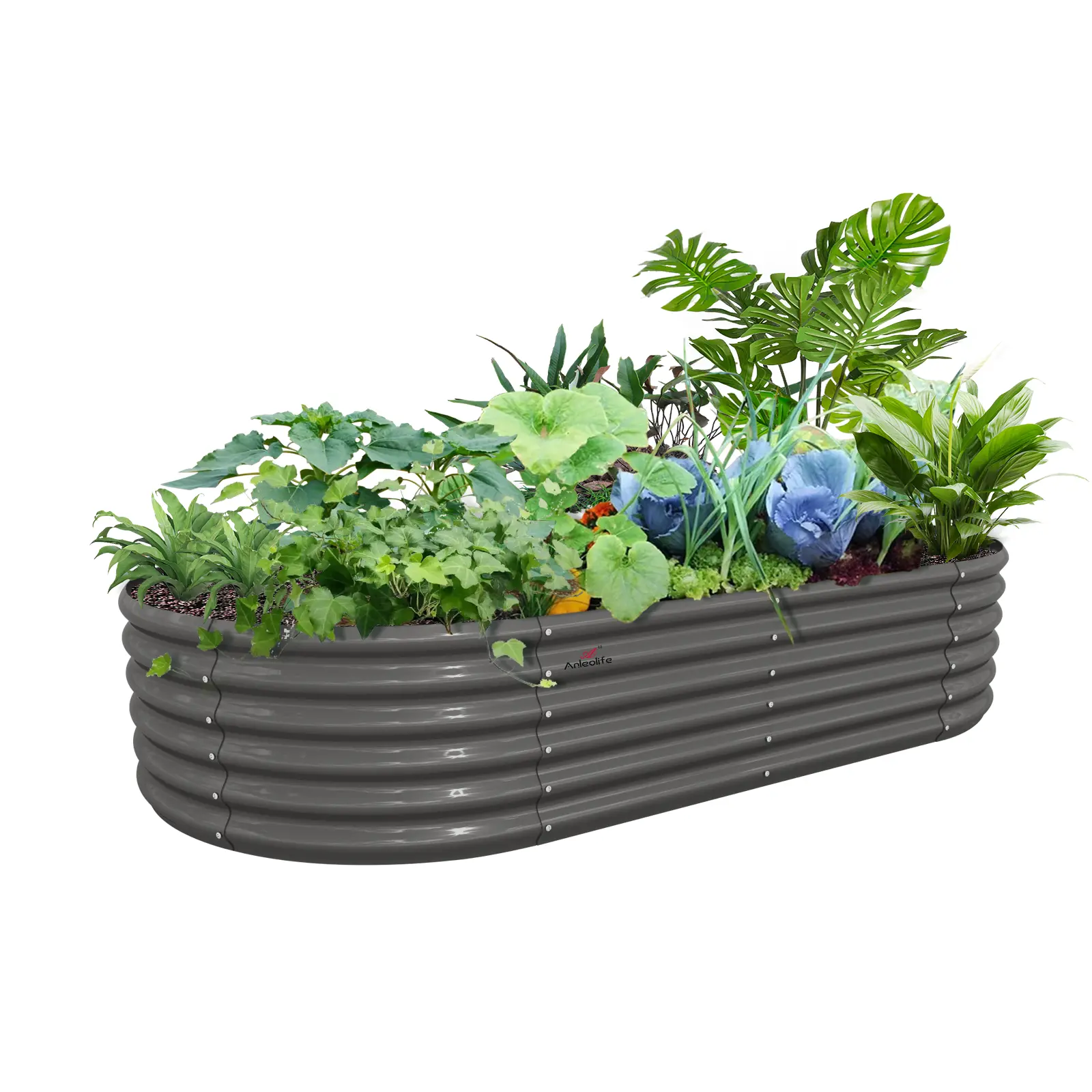 ANLEOLIFE Heavy Duty Metal Patio Planter Box, 8x4x1.5 ft (18") Oval Galvanized Open Bottom Raised Bed Planters for Outdoor Vegetable, Flower Planting