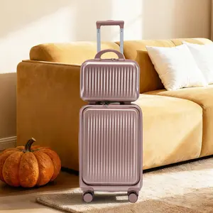 2-Piece ABS Luggage Sets, 14"/20" Spinner Wheel Luggage with Combination Lock, 14" Front-Opening Cosmetic Case