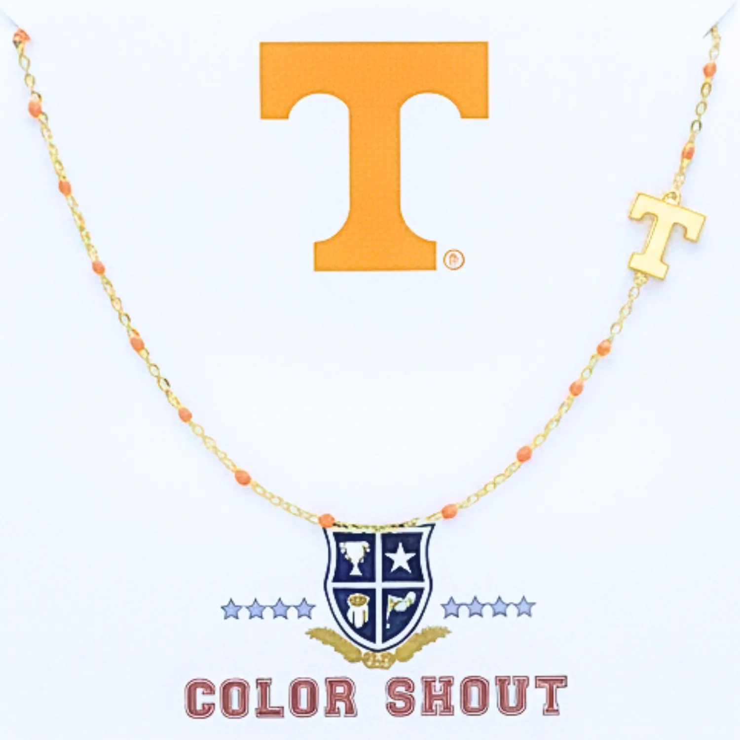 N201 - TN : The University of Tennessee Logo on Enamel Bead Necklace