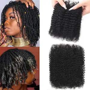 Natural Raw Human Hair Afro Kinky Curly Bulk Hair For Mini Braiding Twists, Dreadlock Extensions Crochet 100% Real Human Hair for Repair Locs, Afro Kinky Bulk, Micro Twist for Black Woman (10inch)