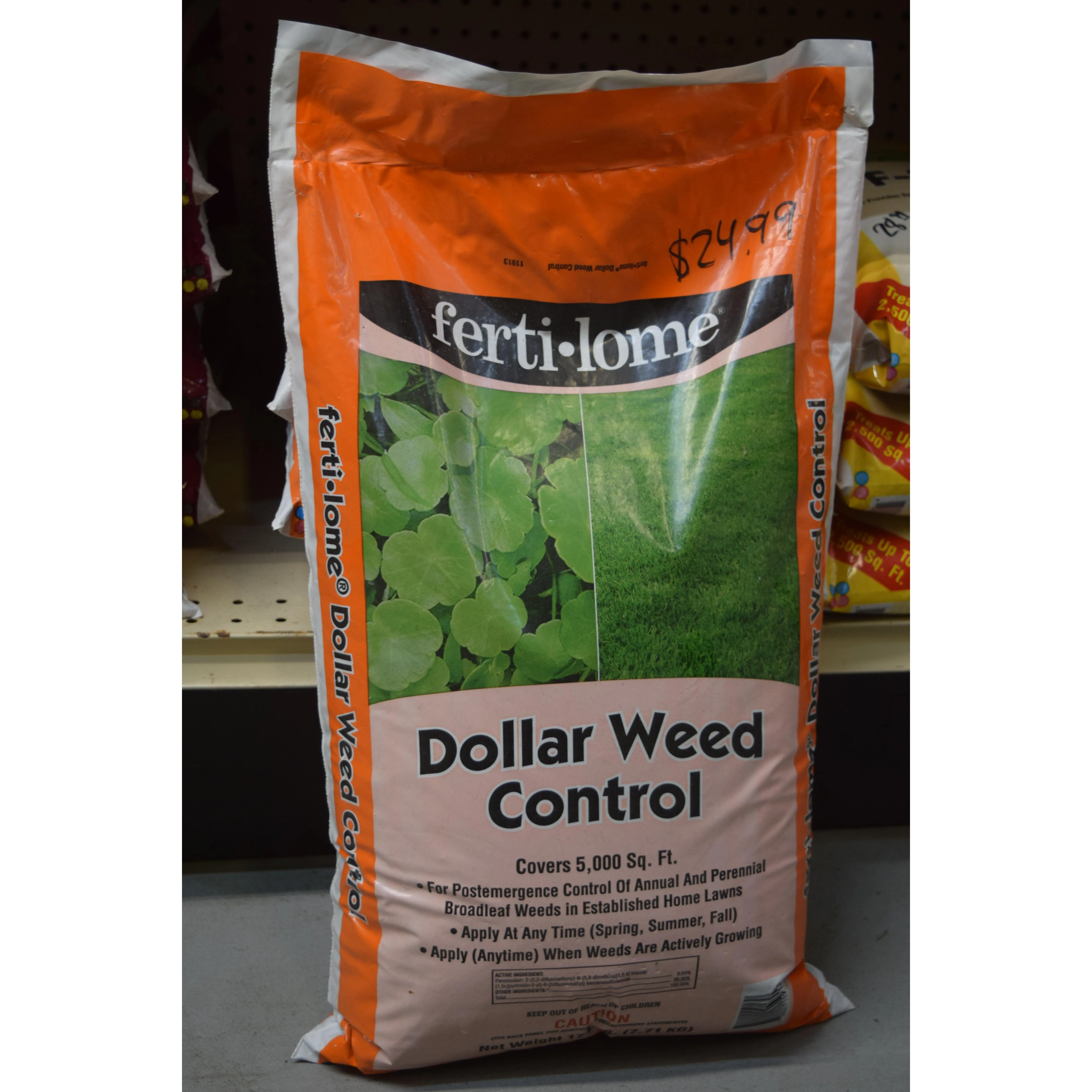 Dollar Weed Control