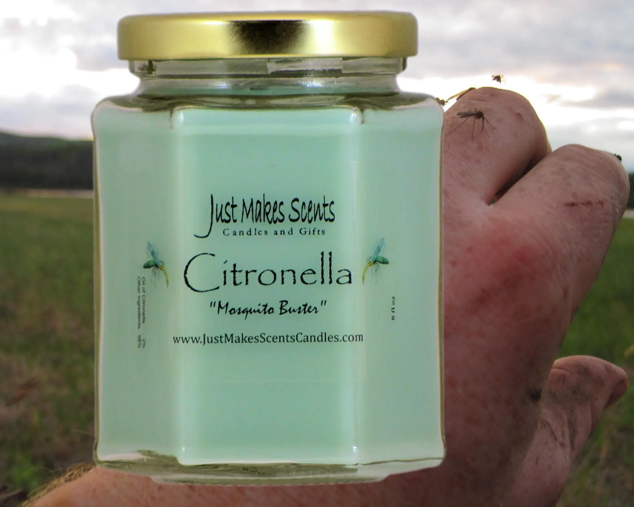 Citronella Mosquito Repelling Candle for Indoor Use