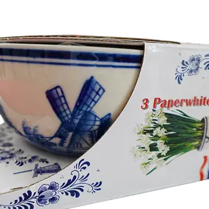 Delft Blue Ceramic Paperwhite Kit  Paperwhites Kit for Indoor Cultivation