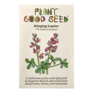 Stinging Lupine Seeds for Planting: California Native Wildflower, Bright Purple Flowers, Self Reseeding Annual Plant - 75 Seed Packet