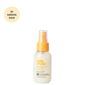 Leave In Conditioner | Mini