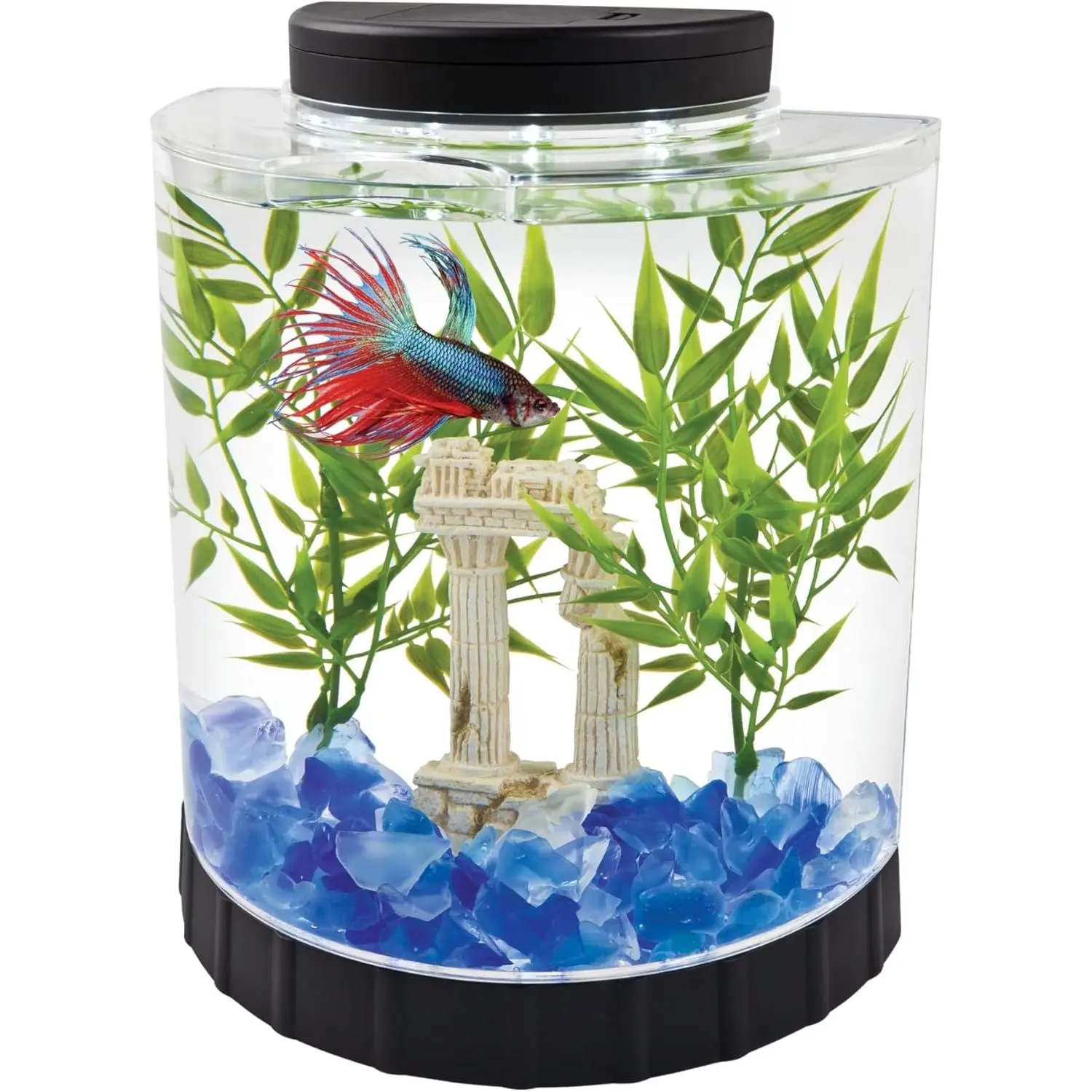 Tetra 1 Gallon Half Moon Small Fish Tank with Movable LED Light for Betta and Gold Fish Aquarium