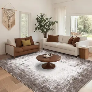 Washable Rug 6x9 Modern Living Room Rug Non Slip,Soft Non Shedding Floor Covering, Low Pile Thin Foldable Mat for Bedroom Dining Room Nursery,Brown