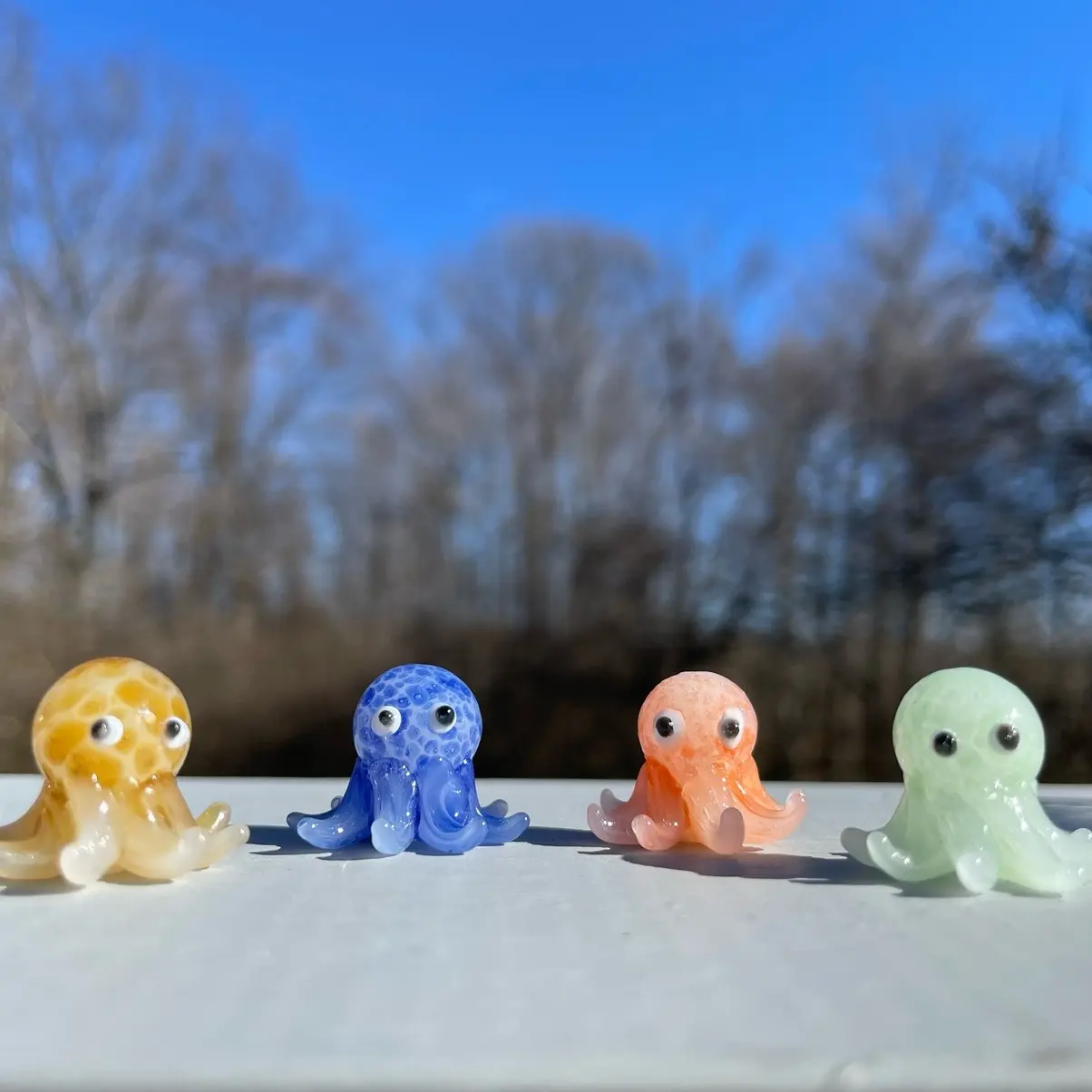 Glass Octopus baby Glass Octopus baby