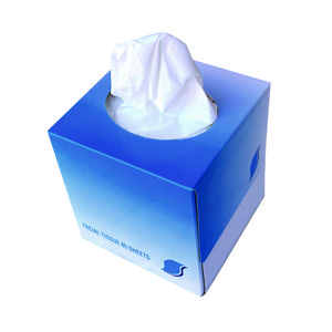GEN Facial Tissues, 2-Ply, 85 Tissue Box, 36 Boxes (GEN852E)