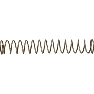 Spring, Pentair 90Ã‚Â° Spring Check Valve, 3 lb.