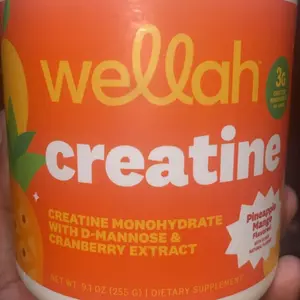 Wellah Nutrition Creatine Monohydrate - 50 Servings, 3g Creatine, Supports Energy, Muscle Recovery & Strength, Cognitive Health Dietary Supplement Powder