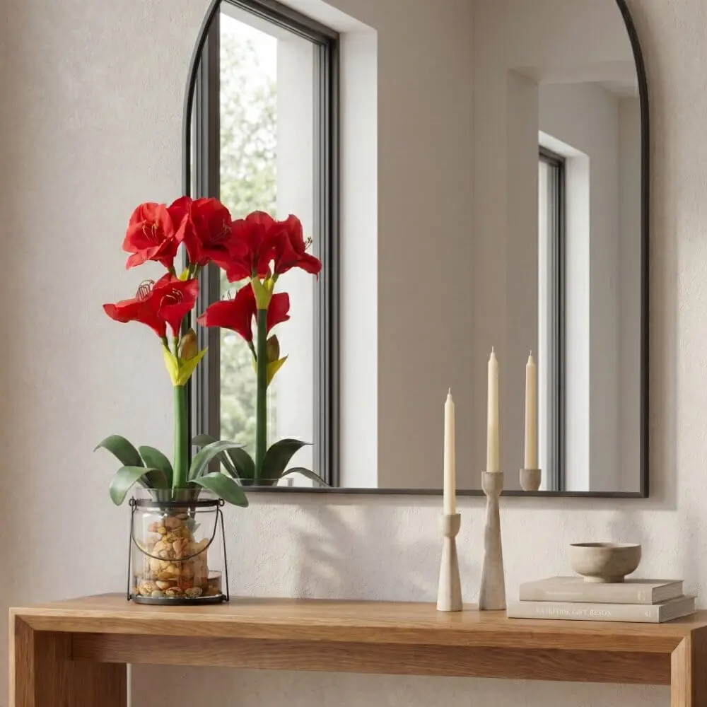24” Amaryllis w/Vase 24” Amaryllis w/Vase