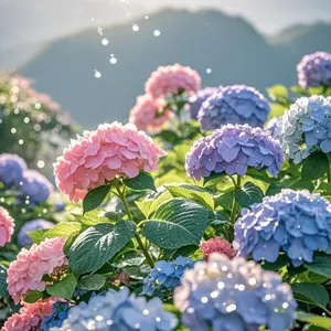 Vibrant Hydrangea Seeds Mix (200 Pcs) – Grow Bright Pink, Blue & White Blossoms Indoors or Outdoors