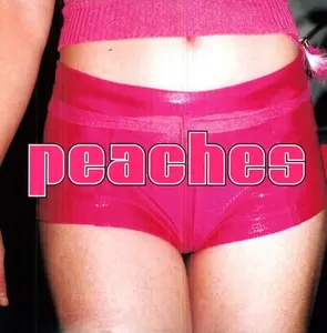 Peaches - The Teaches Of Peaches  [VINYL RECORD - LP] Explicit