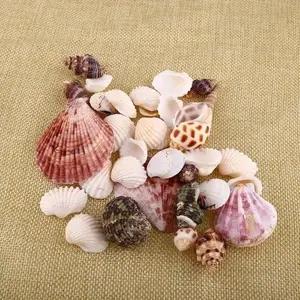 30-piece Ocean Natural Shell Decoration Set, for Aquarium Decoration, Navy Theme, DIY Handicrafts, Fish Tank Accessories