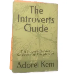 The introverts guide