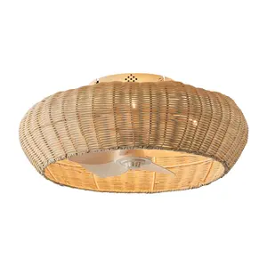 20" Ronald Bohemian Flush Mount Ceiling Fan with Light, Low Profile Boho Fandelier Ceiling Light Fixture for Bedroom Living Room Hallway