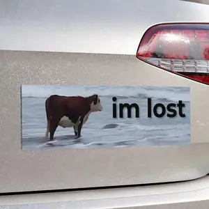 Funny Bumper Sticker , I am Lost Bumper Sticker , High-Quality Vinyl Sticker , Multiple Sizes , Funny Car Sticker , Funny Sticker Decal