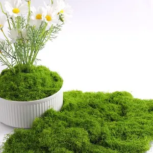 Semi-real green moss DIY kit for garden art, wall decoration, flower shop decoration, Easter table decoration, wedding decoration, Indoor plant
