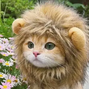 Lion Design Pet Hat, 1 Count Cute Animal Design Pet Headband, Pet Accessories For Cats