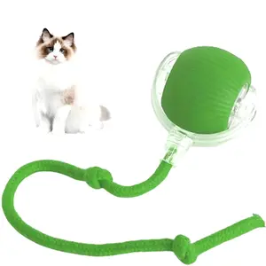 Self Rolling Interactive Pet Toy