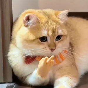 Funny Cat Toy Glove, Creative Plastic Hand Puppet, Interactive Kitten Teaser, Fun Pet Accessory for Cats, Unique Gift Idea